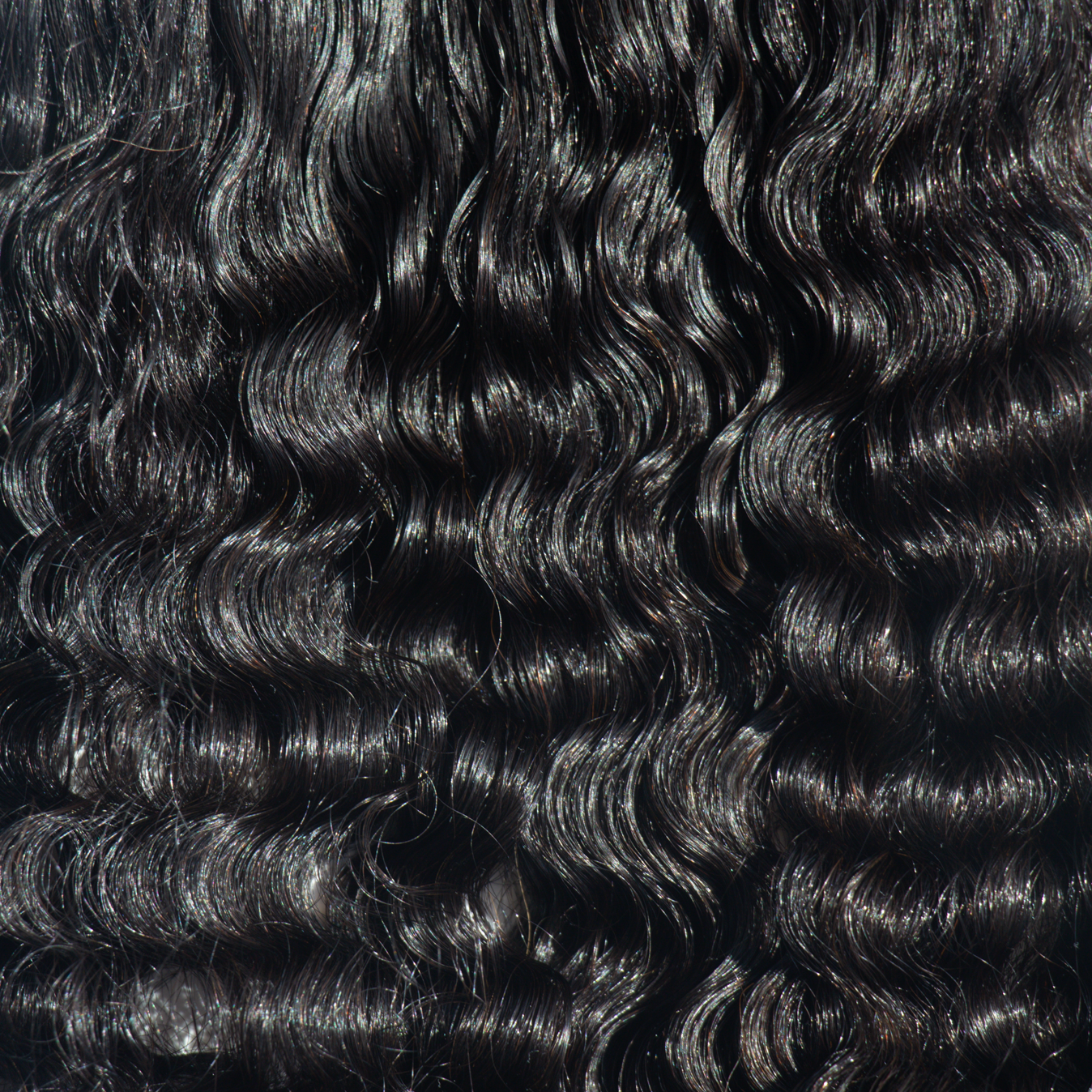 LACE BURMESE CURLY