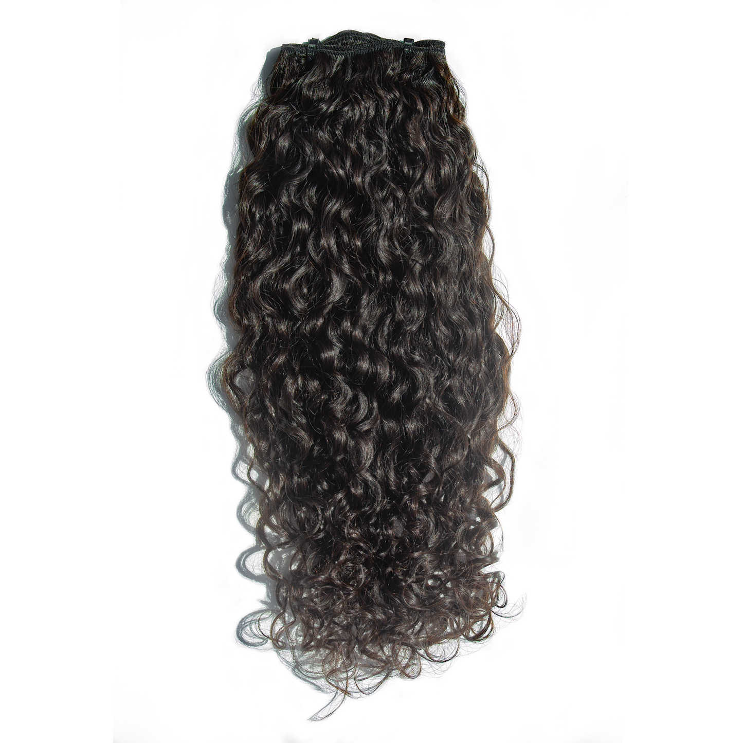 WEFT BURMESE CURLY